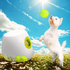 Palla Fido: Il Gioco Interattivo e Resistente per Cani con Energia da Vendere