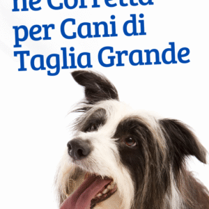 La Dieta Corretta per i Cani di Taglia Grande