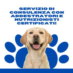 Richiedi la Consulenza di un Nutrizionista per il Tuo Cane.