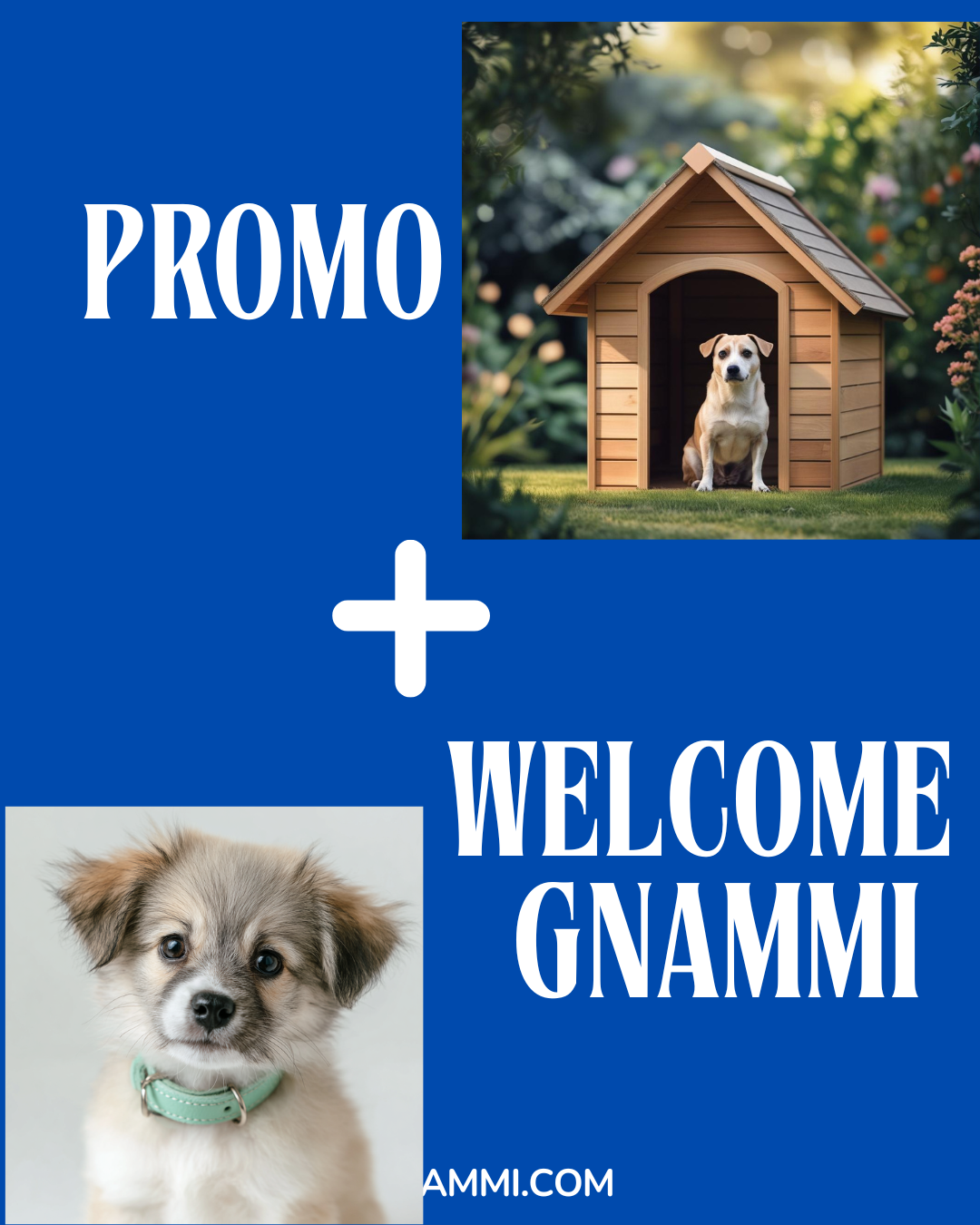 Welcome to Gnammy-Kit di Benvenuto per cuccioli